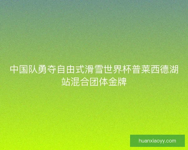 中国队勇夺自由式滑雪世界杯普莱西德湖站混合团体金牌